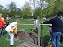 Baum gepflanzt (Foto: Karl-Heinz Herrmann)