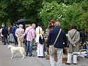Kaiserwetter bei Residenzfest (Foto: Familie Kieper)