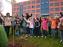 Baumpflanzung (Foto: Karl-Heinz Herrmann)
