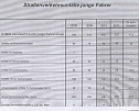 Verkehrsunfallstatistik 2011 (2) (Foto: Polizeiinspektion Kyffh&auml;user)
