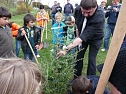 Baum des Jahres gepflanzt (Foto: Karl-Heinz Herrmann)