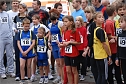 Citylauf 2008 (Foto: Sven G&auml;mkow)