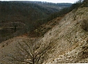 Der aufl&auml;ssige Kalksteinbruch der Feuerkuppe (Foto: Archiv Rasemann)