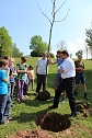 Zum Fest einen Baum gepflanzt (Foto: Karl-Heinz Herrmann)