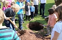 Zum Fest einen Baum gepflanzt (Foto: Karl-Heinz Herrmann)