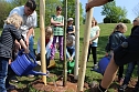 Zum Fest einen Baum gepflanzt (Foto: Karl-Heinz Herrmann)
