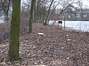 Baumf&auml;llen am Parkteich (Foto: Karl-Heinz Herrmann)
