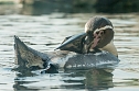 Besuch im Zoo am Meer (Foto: Sven Tetzel) Besuch im Zoo am Meer (Foto: Sven Tetzel)