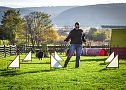 Agility Fun-Turnier in der Hundeschule ABC (Foto: Stadt Bad Frankenhausen)
