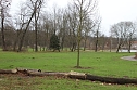 Maulwurfsinvasion im Schlosspark Sondershausen? (Foto: Karl-Heinz Herrmann)