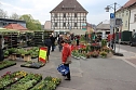 Gewimmel auf dem Pflanzenmarkt (Foto: Karl-Heinz Herrmann)