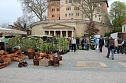 Gewimmel auf dem Pflanzenmarkt (Foto: Karl-Heinz Herrmann)