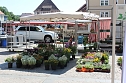 Beratungstag auf dem Markt (Foto: Karl-Heinz Herrmann)