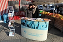 Infostand gegen h&auml;usliche Gewalt (Foto: Karl-Heinz Herrmann)