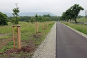 F&uuml;r den Unstrut-Werra-Radweg geworben (Foto: Karl-Heinz Herrmann)