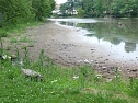 Parkteich Sondershausen (Foto: Karl-Heinz Herrmann)