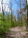 Waldspaziergang (Foto: Familie Schmidt)