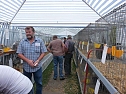 Rassengefl&uuml;gelausstellung in Bad Frankenhausen (Foto: Karl-Heinz Herrmann)