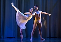 "Sternstunden" des Balletts (Foto: Theater Nordhausen)