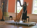 Harfenisten im Konzert (Foto: J&uuml;rgen Kieper)