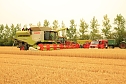 Erntefahrzeug berannte (Foto: S. Dietzel)