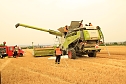 Erntefahrzeug berannte (Foto: S. Dietzel)