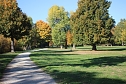 Wie weiter mit dem Schlosspark Sondershausen? (Foto: Karl-Heinz Herrmann) Wie weiter mit dem Schlosspark Sondershausen? (Foto: Karl-Heinz Herrmann)