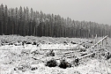 Heiligabend noch schnell auf den Brocken (2018) (Foto: VGF) Heiligabend noch schnell auf den Brocken (2018) (Foto: VGF)