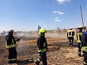 Fl&auml;chenbrand (Foto: Feuerwehr Quelle: Silvio Dietzel)