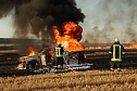 Feldbrand bei Gro&szlig;berndten (Foto: Silvio Dietzel)