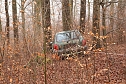 auto im Wald (Foto: S.Dietzel)