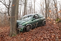 auto im Wald (Foto: S.Dietzel)