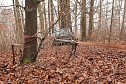 auto im Wald (Foto: S.Dietzel)