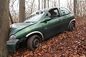 auto im Wald (Foto: S.Dietzel)
