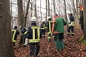 auto im Wald (Foto: S.Dietzel)