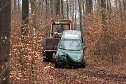 auto im Wald (Foto: S.Dietzel)