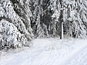 Winterliche Harzimpressionen (Foto: P.Blei)