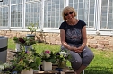 Heike Vollrodt in der Orangerie in Bendeleben (Foto: Eva Maria Wiegand)