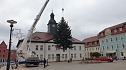 Weihnachtstanne wird von dem Frankenh&auml;user Rathaus aufgestellt (Foto: Stadtmarketing Bad Frankenhausen)