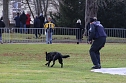 Gelöbnis neuer Soldatinnen und Soldaten der Bundeswehr im Lustgarten im Schloss Sondershausen (Foto: Eva Maria Wiegand) Gelöbnis neuer Soldatinnen und Soldaten der Bundeswehr im Lustgarten im Schloss Sondershausen (Foto: Eva Maria Wiegand)