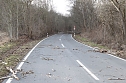 Sturmsch&auml;den auf der Landstra&szlig;e (Foto: S. Dietzel)