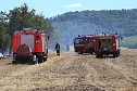 Fl&auml;chenbrand zwischen Gro&szlig;- und Kleinfurra (Foto: S.Dietzel)
