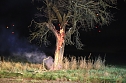 Brennender Baum bei Holzengel (Foto: S. Dietzel)