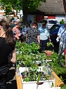Auch die 9. Pflanzentauschb&ouml;re war erfolgreich (Foto: Peter Zimmer)