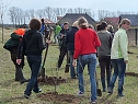 Baumpflanzung Bad Frankenhausen (Foto: Karl-Heinz Herrmann) Baumpflanzung Bad Frankenhausen (Foto: Karl-Heinz Herrmann)