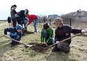 Baumpflanzung Bad Frankenhausen (Foto: Karl-Heinz Herrmann) Baumpflanzung Bad Frankenhausen (Foto: Karl-Heinz Herrmann)