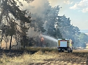 Brand eines Feldes bei Reinsdrof (Foto: S.Dietzel)