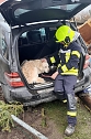 Feuerwehrmann kümmert sich um den Hund des verunfallten Fahrers (Foto: S. Dietzel) Feuerwehrmann kümmert sich um den Hund des verunfallten Fahrers (Foto: S. Dietzel)