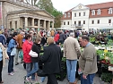 Pflanzenmarkt Sondershausen (Foto: Karl-Heinz Herrmann)