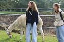Unterwegs mit den Unstrut Lamas aus Herbsleben (Foto: Eva Maria Wiegand) Unterwegs mit den Unstrut Lamas aus Herbsleben (Foto: Eva Maria Wiegand)